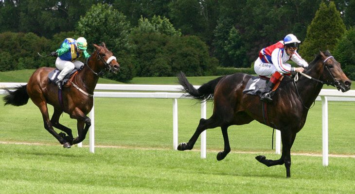 Qual é Investimento é Melhor Forex ou Opções Binárias