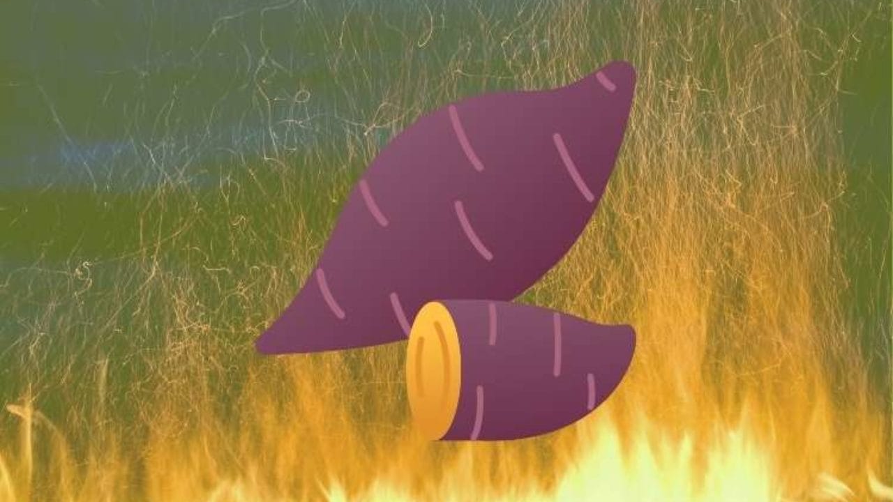 Yam Protocol (YAM) crypto