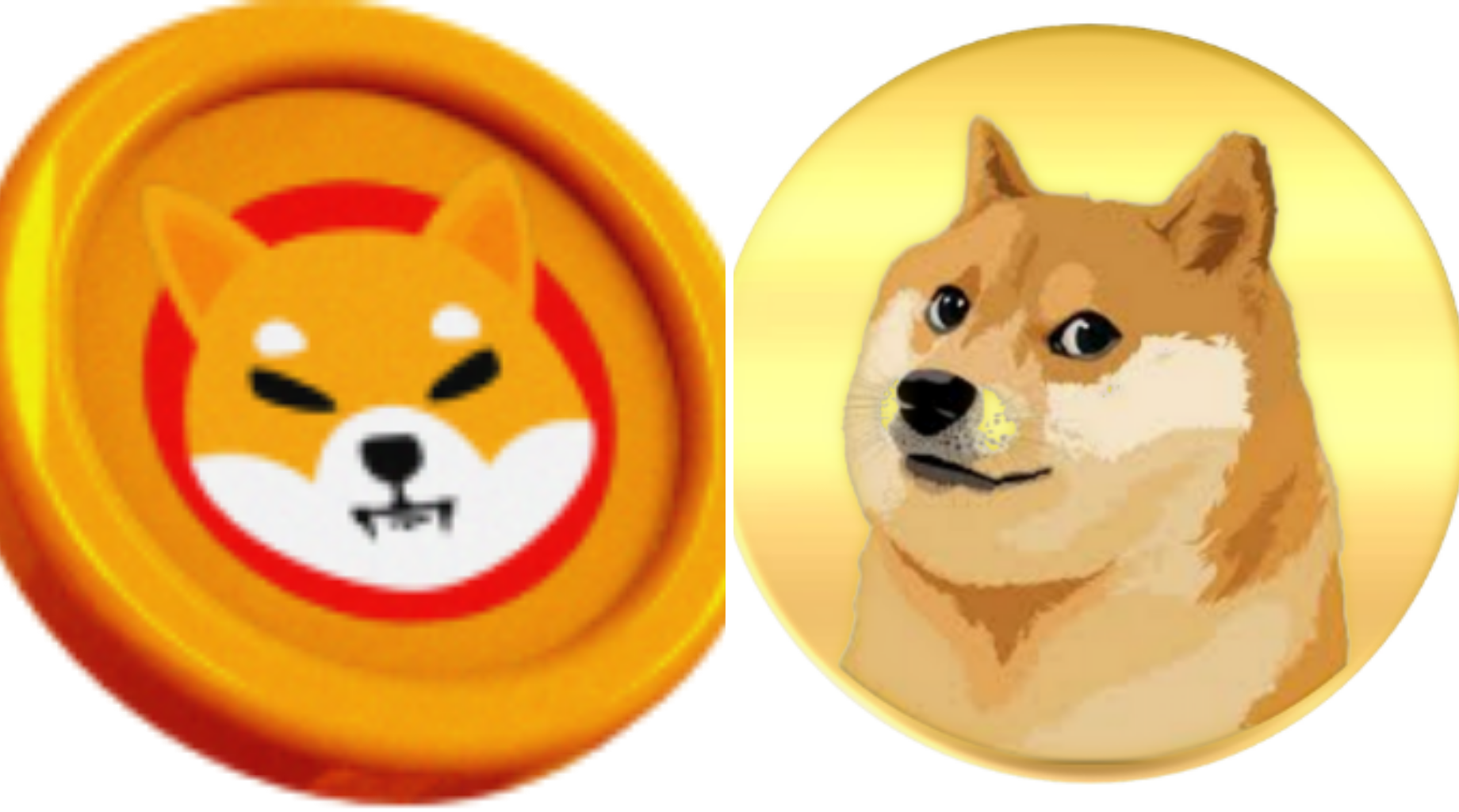Dogecoin Vs. Shiba Inu