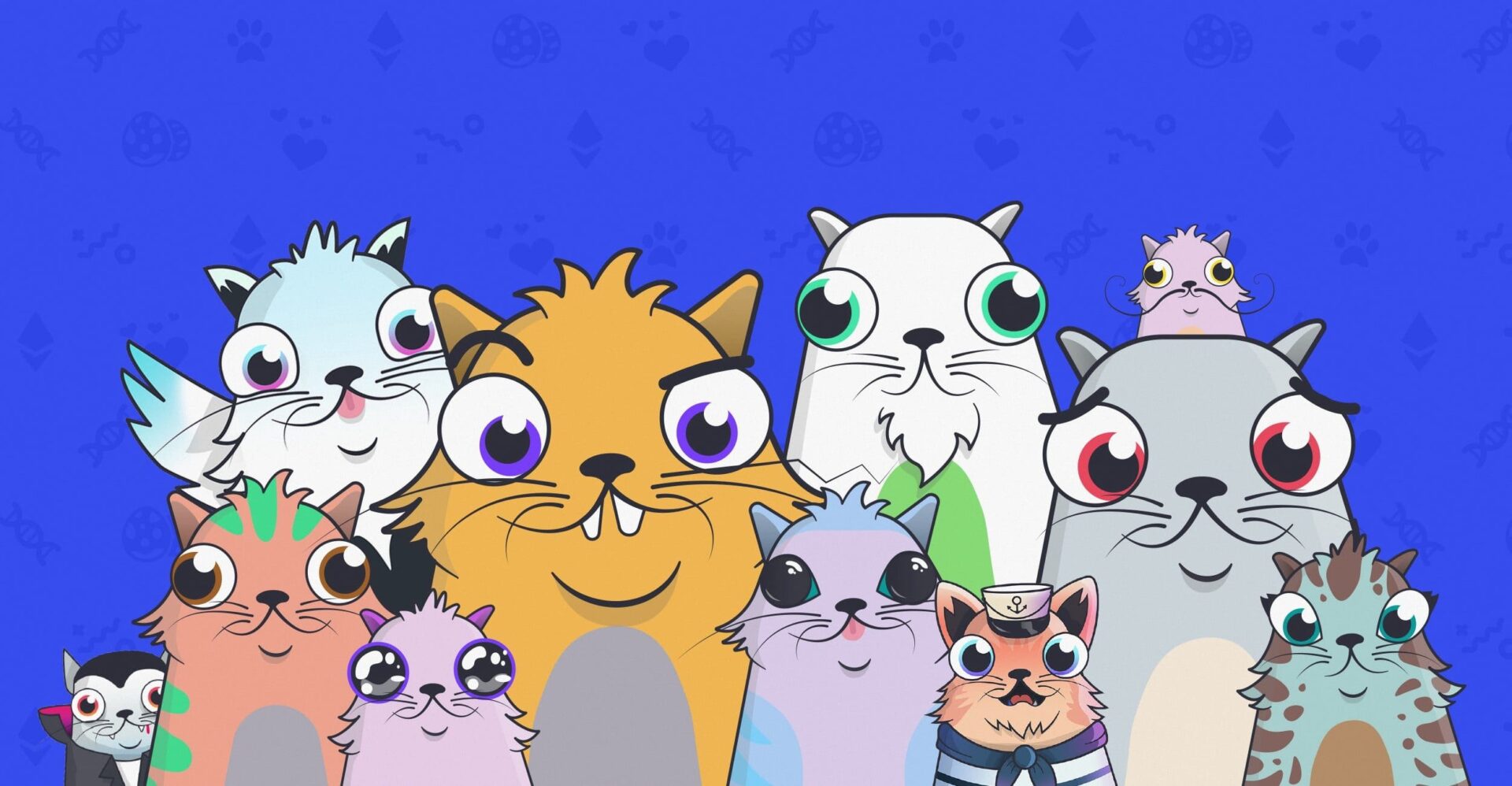 O que é Crypto Kitties: Fatos Interessantes Para Saber 12 O que é Crypto Kitties: Fatos Interessantes Para Saber