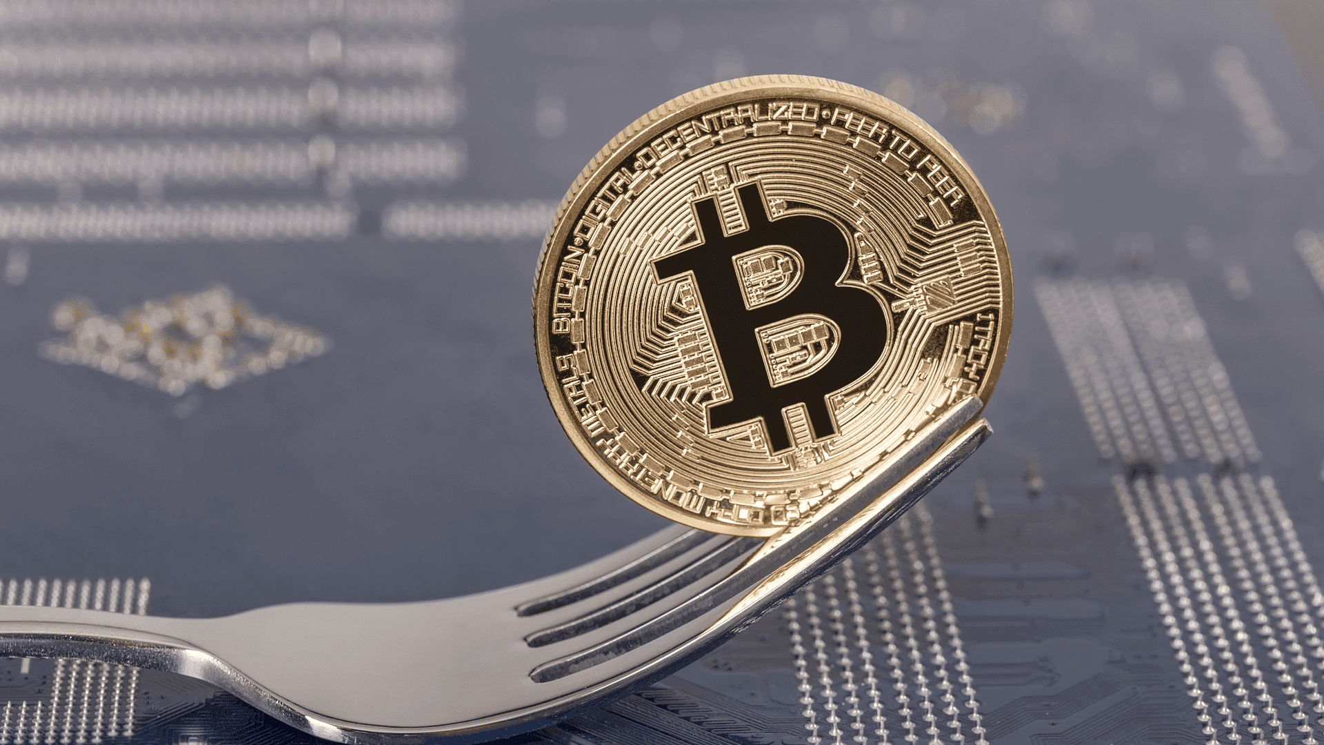 O que é um Fork Bitcoin (Garfo)