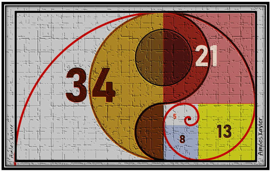 Relação de Fibonacci no Mercado Forex