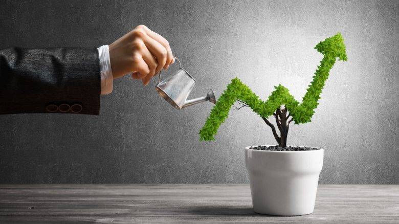 Qual É o Valor Perfeito do Investimento?