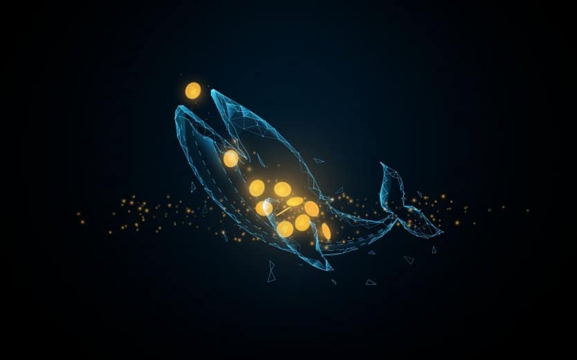 O que são as Baleias Cripto e como Identificá-las