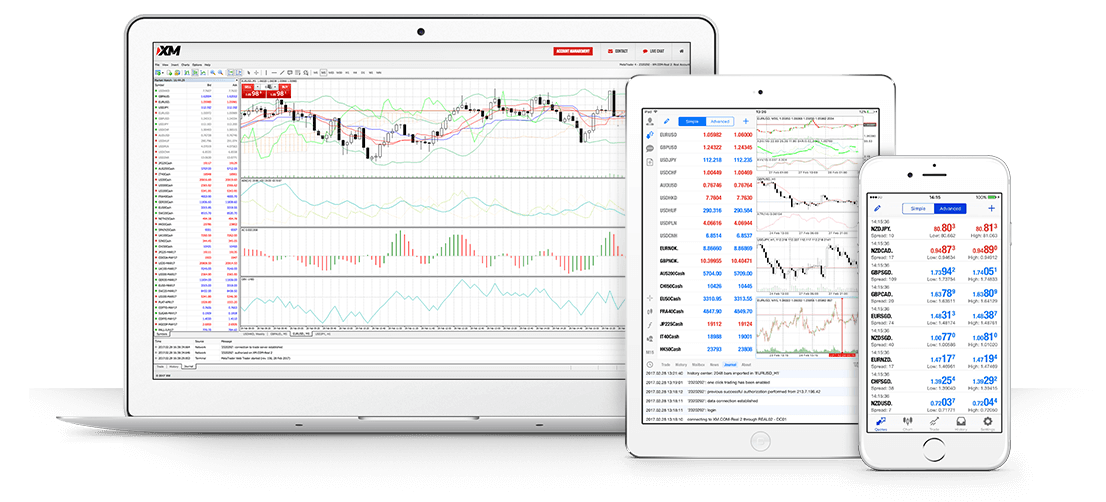 IQ Option ou XM: Qual é a Melhor?