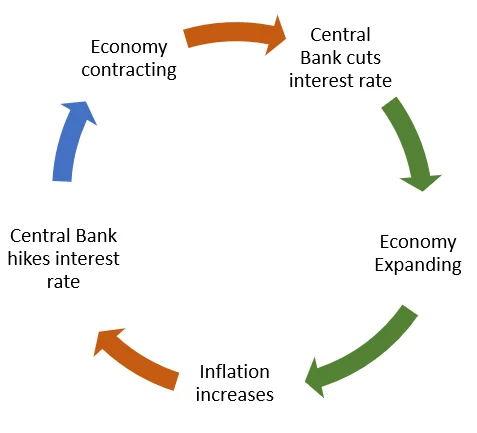 Interest Rates And Forex Market Body Economicratecycle