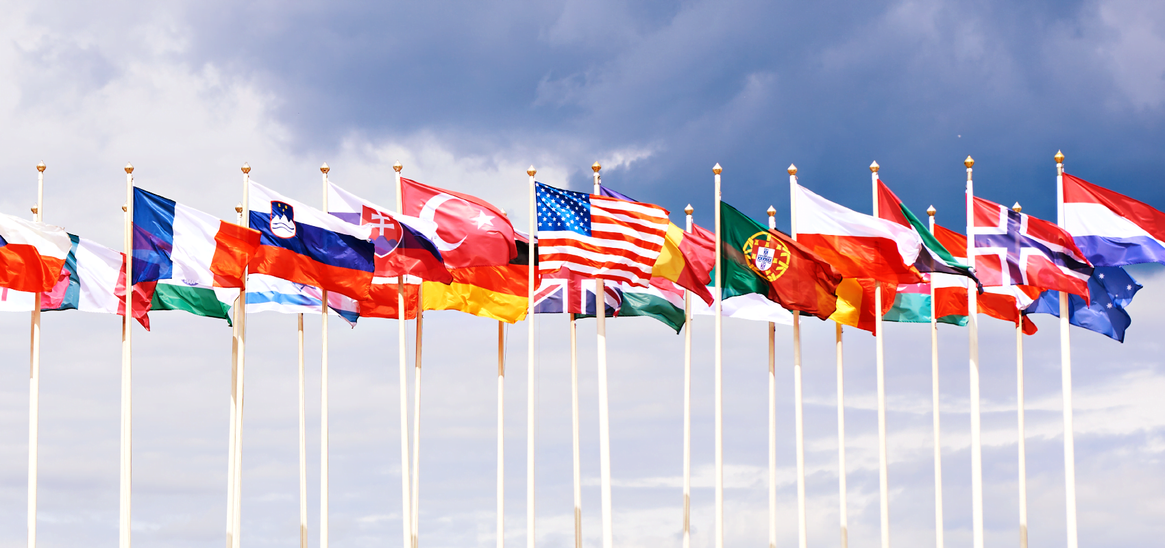 Características de los Bloques Económicos - Una Guía Completa 1 Ftasblogimgflags