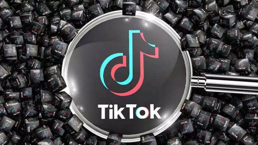 Tiktok Busca