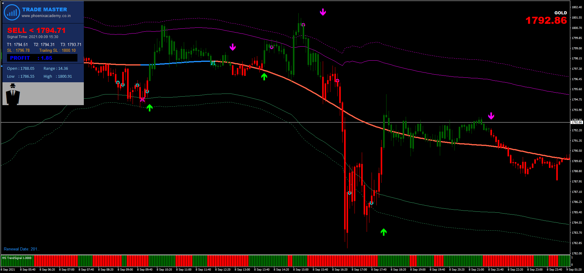 Estrategia Forex con Señales Precisas: Maximiza Tus Resultados