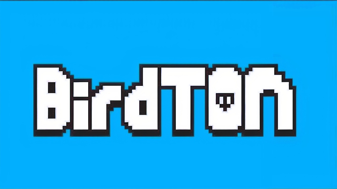 Guia Definitivo para Retirar Seus Ganhos do BirdTON